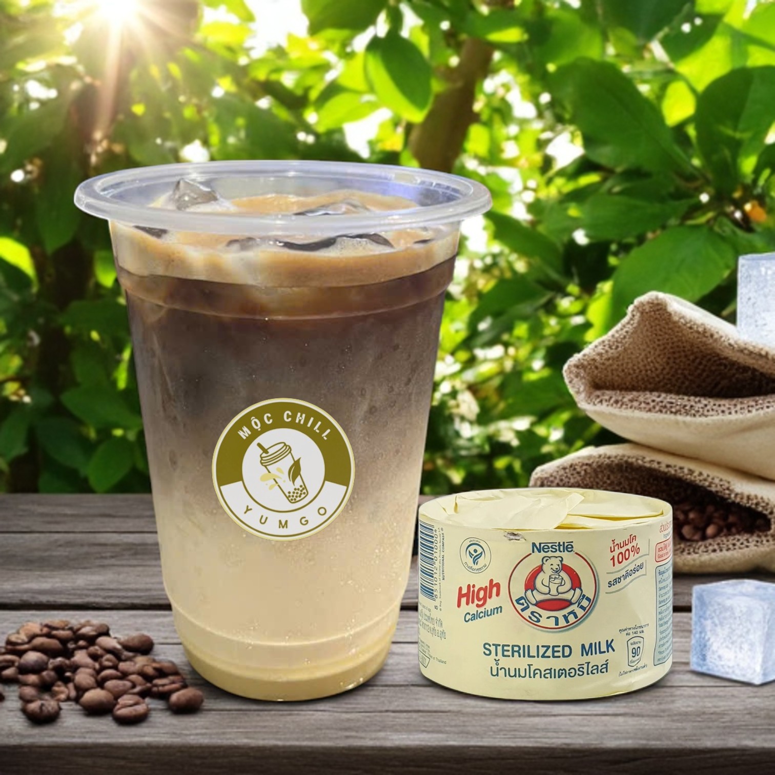 Café sữa Gấu