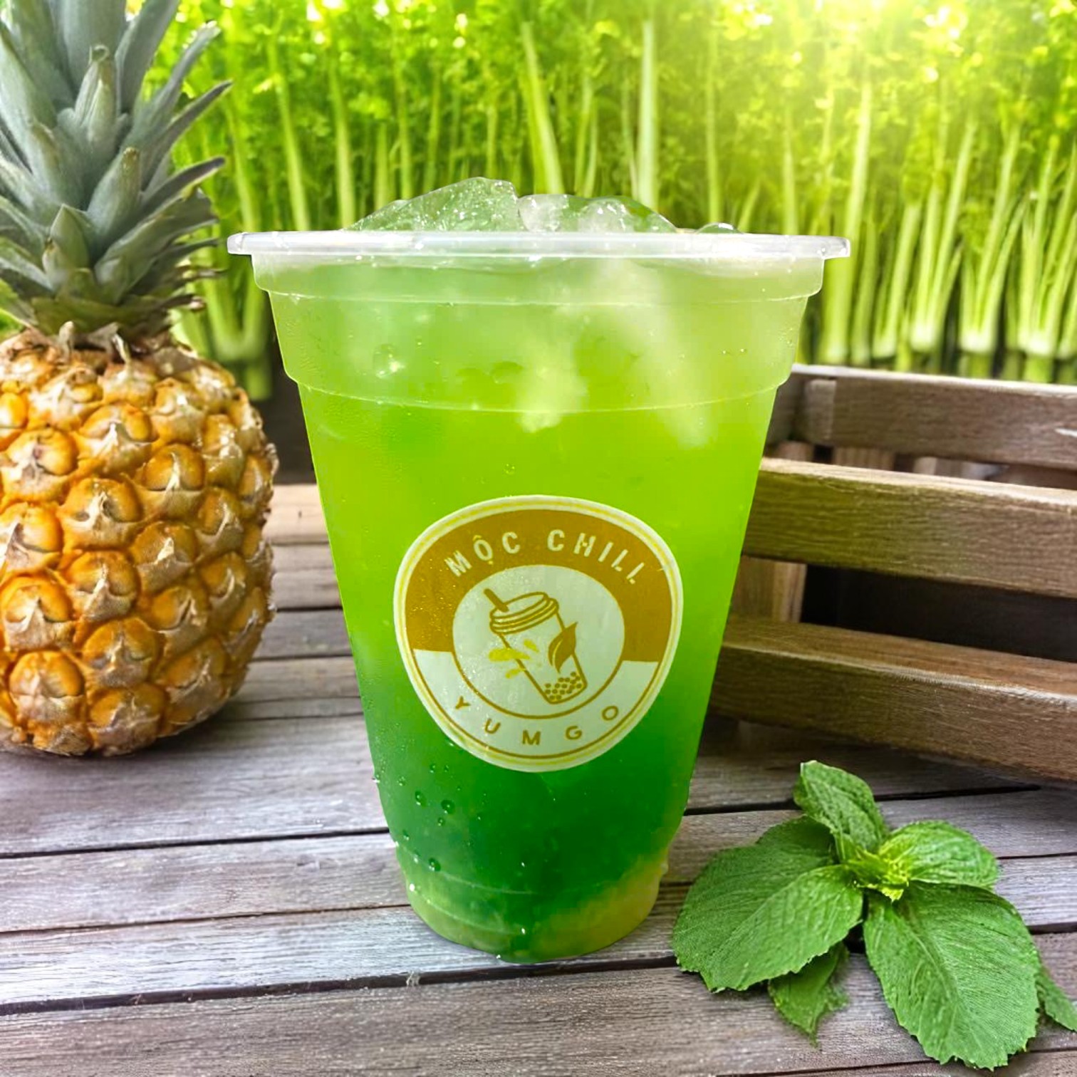 Cần tây Dứa Bạc hà