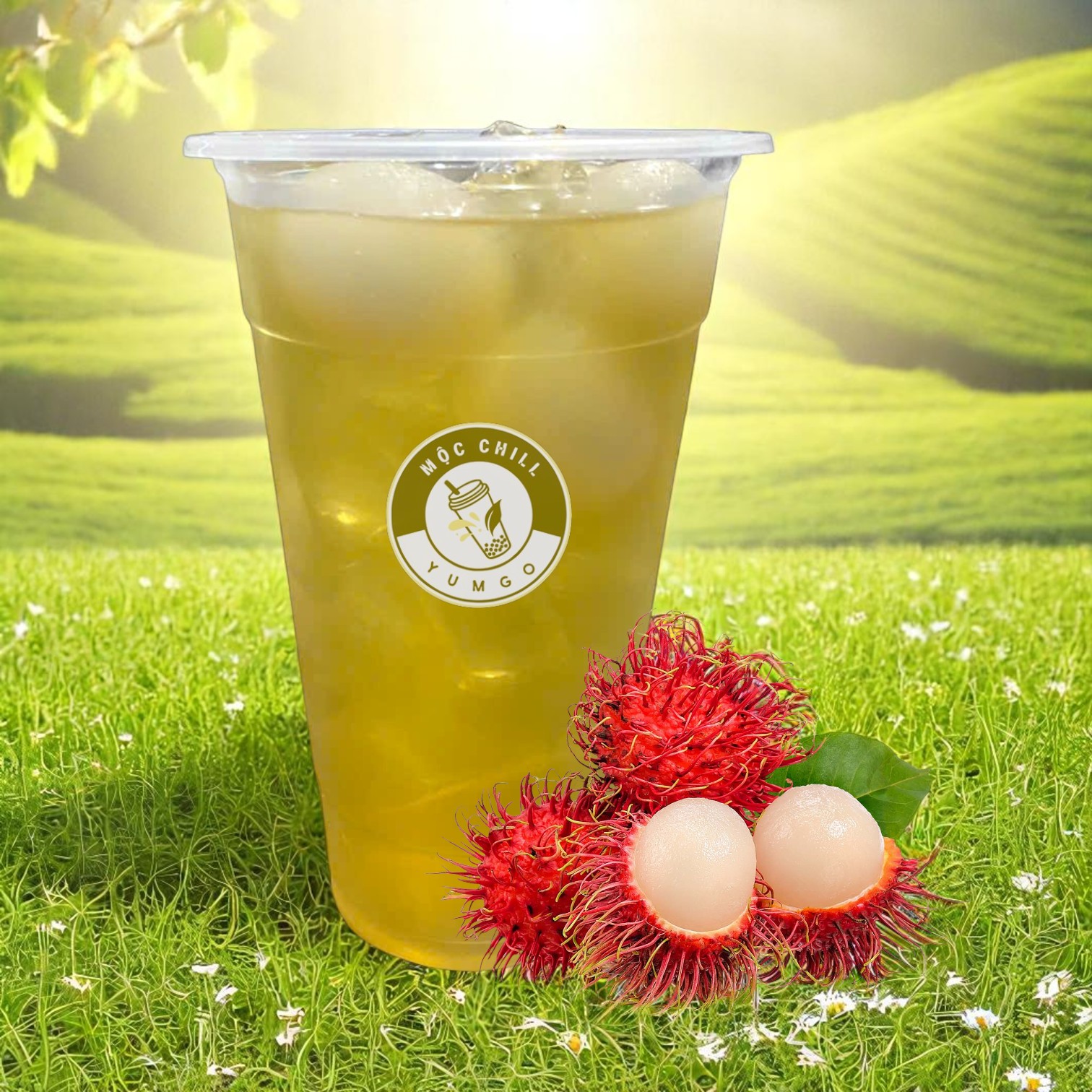 Trà Chôm Chôm quả tươi