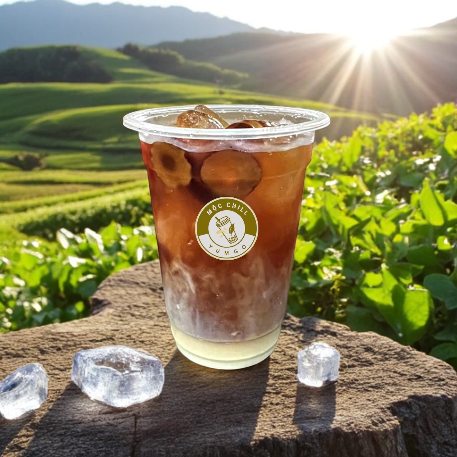 Trà Thảo Mộc sữa